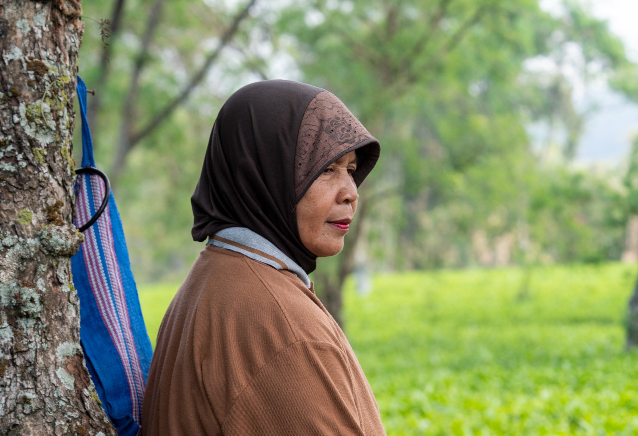 DDH 9518