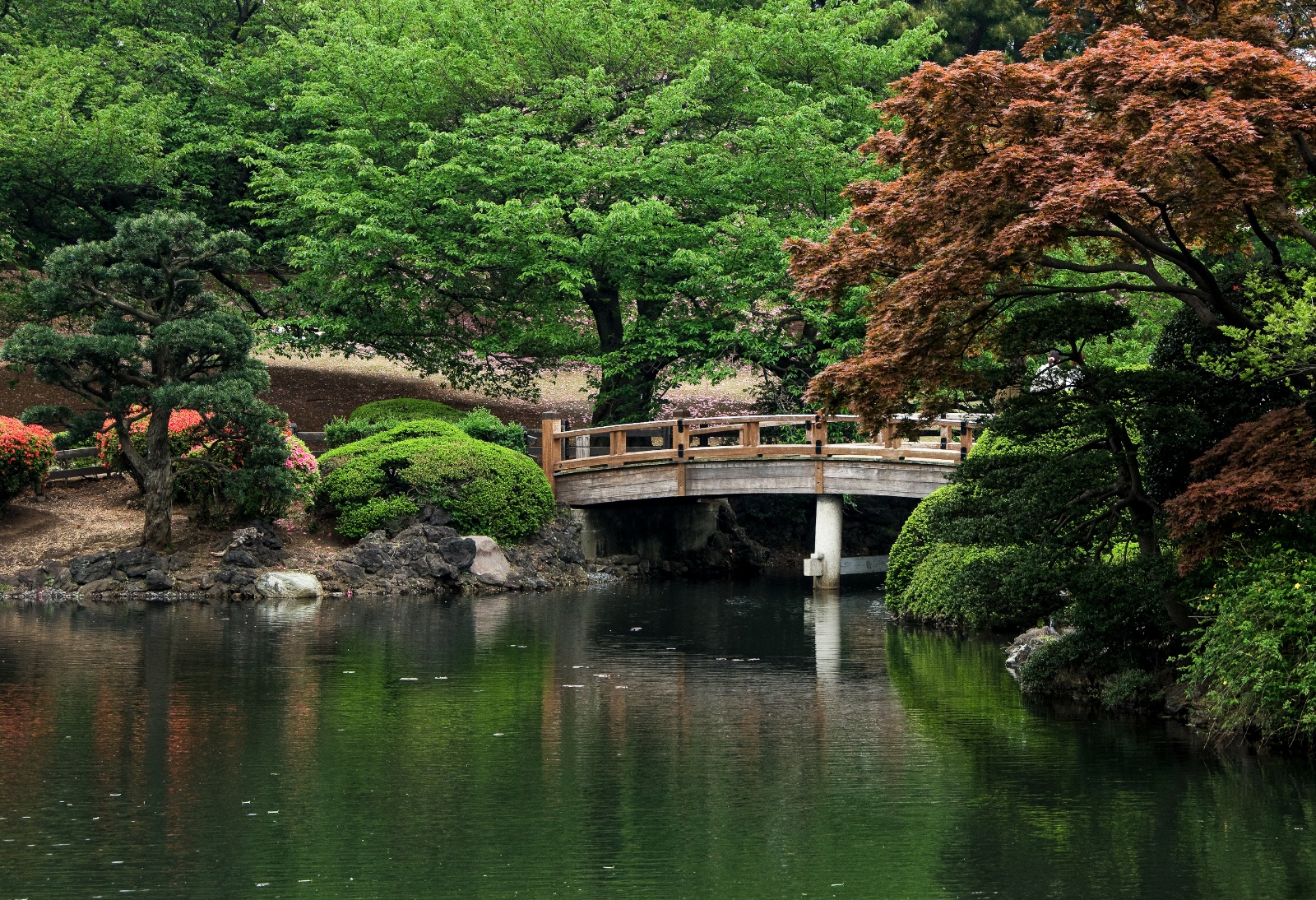 Japan 3